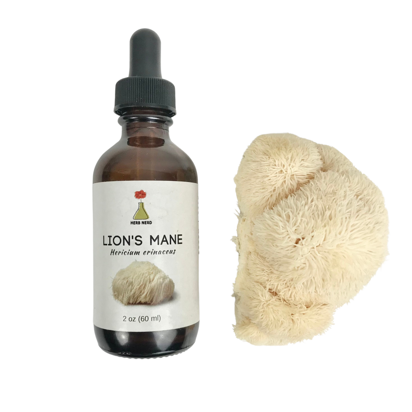 Lion's Mane Tincture