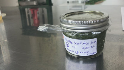 Herbal Remedies Supply Box
